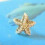 Modische Strass-Perlen-Seestern-Ohrstecker 5