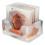 Σουβέρ εποξειδικής ρητίνης Ξύλινο στυλ Σετ 6 σουβέρ ποτών με βάση Μοντέρνα 3