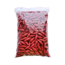 50/100/500 bouchons pour système d'irrigation goutte à goutte, diamètre de tuyau 1/4 pouce, bouchons pour orifices de drainage, pour jardin et