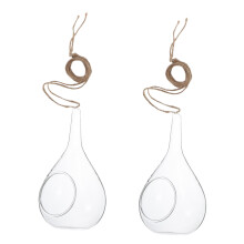 Hanging Glass Planter Set with Clear Root Viewing for Indoor Hydroponic Plants and Cuttings