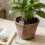 Practical Landscaping Garden Tool For Monitoring-2 pack 5