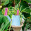 600pcs Plant Labels Wrap Around Tree Sign Markers Regulable 4