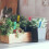 600pcs Plant Labels Wrap Around Tree Sign Markers Regulable 7