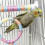 Interactively Bird Training Platform With Adjustable Height 6