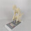Human Spine Model with Base, Correct Lifting Posture Trainer, Interactive Lumbar Anatomy Demonstration 2