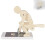 Human Spine Model with Base, Correct Lifting Posture Trainer, Interactive Lumbar Anatomy Demonstration 1
