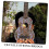 Ukulele Bridge Saddle Wooden Replacement for Professional Tone Improvement and Durable Performance 2