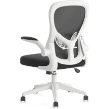 Ergonomic Office Desk Chair with Lumbar Support, FlipUp Armrests, Adjustable Height, White