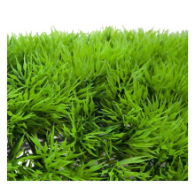 5X Cours D'Eau Artificiels Faux Herbe Aquatique Verte Plante Pelouse Paysage D'Aquarium