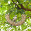 2X Peanut Wreath Bird Feeder 16 Inch, Rust & Waterproof Solid Steel DurableWhole Peanut Wild Bird Feeder with Hook 7