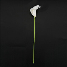Calla Lily Nuptiale Bouquet de Mariage 30 Tete Latex Reel Tactile KC51 Blanc