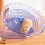 Ergonomic Flying Saucers Wheel Large Diameter-oranges  color 7