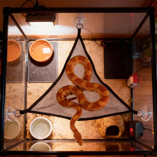 Structure de jeu pour animaux, filet d'escalade, balançoire-B 2