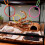 Enrichment Snake Climbing Rings Durability Interactively-C 6
