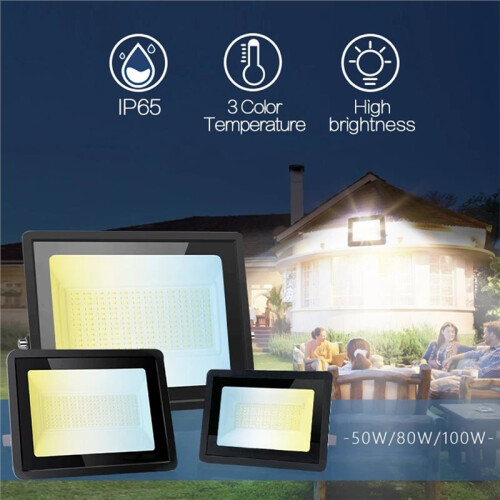 Projecteur LED Extérieur Étanche IP65 220 V pour Éclairage Public et Mural A 2