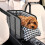 Tiny Pet Travel Container For automobiles Having-Black 5