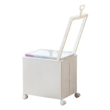 Unité de rangement en plastique avec couvercle visible et-Blanc
