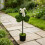 Handcrafted Shamrock Design False Potted Plant Enhances-1 7