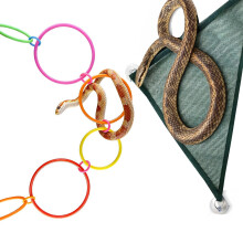 Enrichment Snake Climbing Rings Durability Interactively-B