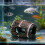 Décoration de petits Aquariums, barils en résine, Simulation-1 3