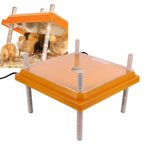 Angled Chicken Brooder Heater Plate 10x10 Inch Yellow – Even Heat, SpaceSaving Design for Chicks 1