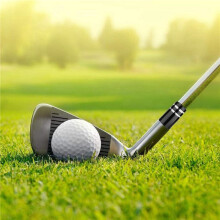 30 Stuks Ferrule met Dubbele Chromen Ring voor Driver & Fairway Wood & Iron Golfaccessoires Type 5: 8,9x16x13,4mm