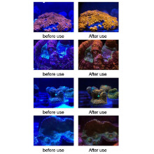 4X AqUariUm Objektiv Aquarium Telefon Kamera Objektiv Filter 6 Im 1 Makro Objektiv Gelb Objektiv Filter Korallenriff AqUariUm Fotografie