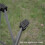 Small Ultralight Portable Table Alloy Camping Picnic Table 4