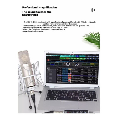 Convertitore USB XLR A Preamplificatore per Microfono USB XU-2 MK3 con Convertitore A/D A 24 Bit 2