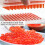 Kaviaarmakerbox, Moleculaire Gastronomie Kit, Viskuitgenerator 3