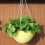 Resin Hanging Planter Container Hanging Flower Indoor-Chocolate 7
