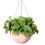 Résine suspendus plantes succulentes pot de fleurs-3 1