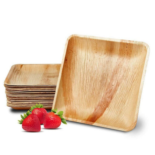 50 Disposable  Leaf Plates, 8inch(20cm) , Eco Friendly Biodegradable Compostable Plates 1