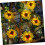 Solar Sunflower Vine String Light LED 6