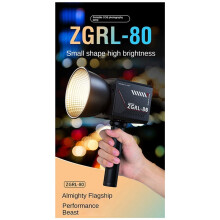 2X NEW 80W LED Video Light Bi-Color COB Photographic Studio Light 2500K-6500K 10000mAh for Video Livestreaming EU-PLUG