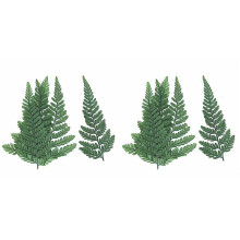 120Pcs Dried Green Fern Herbarium for DIY Jewelry Postcard Invitation Card Phone Case Pennisetum Leaves