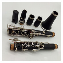 17 Key Bb Clarinet for Beginners with Mouthpiece, Style, Durable Student Design and Case