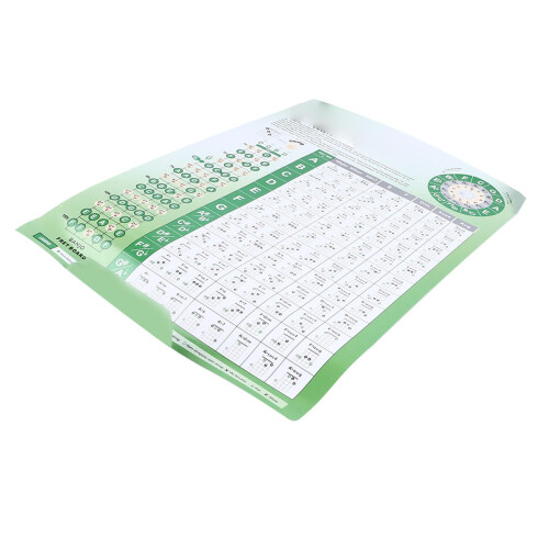 Banjo Chord Chart for Beginners Poster, Visual Fingering Guide, Durable Coated Paper, Fast Learning Aid 1
