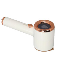 Tragbarer Handdampfer für Kleidung, 110W, schnelles Aufheizen, 383g