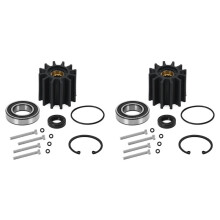 2X Wasserpumpensatz für Penta, Rohwasser-Seewasserpumpe, Umbausatz, Laufraddichtung 21212799 3812519