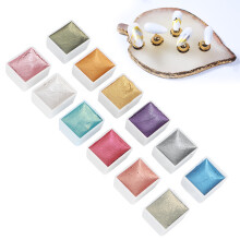 Solid Nail Watercolor Paint Set 12 Colors, 2g Portable Pigments for Nail Art