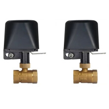 2X Tuya WiFi Water Vavle Zigbee Gas Water Stop Check Valve DN15 Wireless Control Timer Work+Alexa US Plug