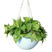 Panier de jardinière suspendu en résine, décoration de-Bleu