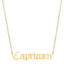 18K vergulde sterrenbeeldketting, sterrenbeeldhangerketting voor vrouwen met schorpioenmotief, hypoallergene roestvrijstalen ketting, waterdicht.