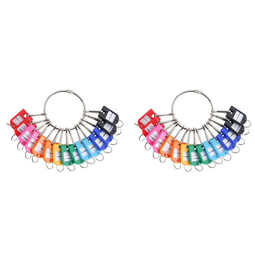 Portable Metal Ring Key Organizer with 40 Spring Hooks & Key Tags with Ring and Label Window