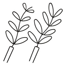 2pcs Plant Trellis Garden Climbing Trellis For Potted Plants