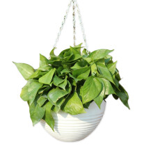 Resin Hanging Succulents Plant Flowerpot Personality-White
