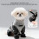 Four Leg Full Coverage Dog Pants For Small Dogs-L Yellow 3