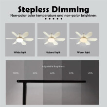 Ventilateur de Plafond Extérieur Étanche Fanbulous de 107 cm (42 Pouces) avec Lumières, Télécommande et Moteur CC à 6 Vitesses B