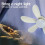 Ventilador de Teto Externo À Prova D'Água Fanbulous de 42 Polegadas com Luzes, Controle Remoto e Motor CC de 6 Velocidades B 5